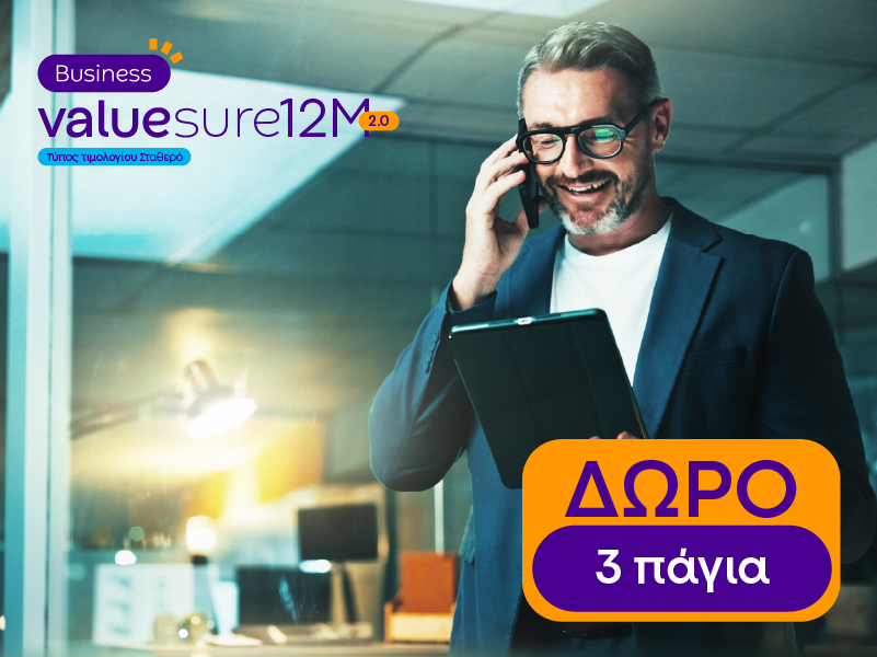 Value Sure 12M 2 0 Business E1 3Months