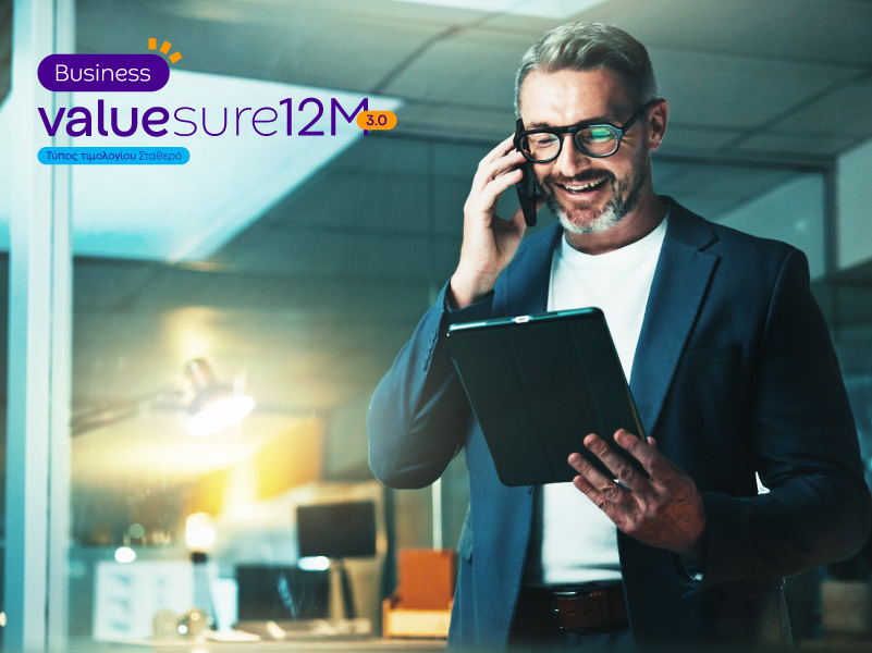 Value Sure 12M 3 0 Business E1