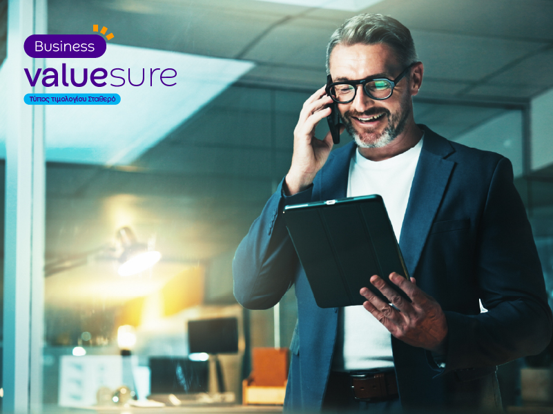 Value Sure Business E1